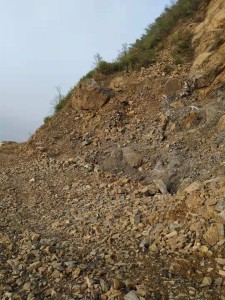 1565857662495574.jpg 20190313171411539.jpg