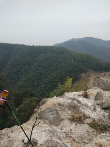 1565858427432058.jpg 201904011106434605.jpg