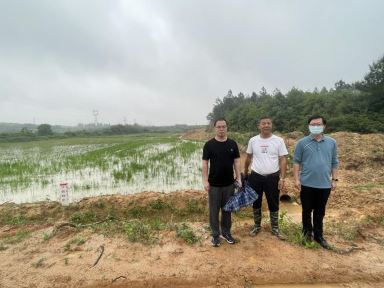 1652748993420760.jpg Compress_圖片1.jpg